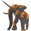 color-tusk-mascot